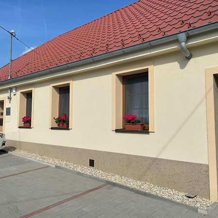 Apartmany U Palavy Přítluky Eksteriør billede